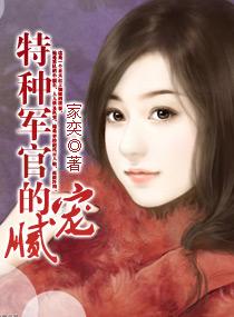 特种军官的腻宠