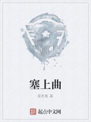 塞上曲