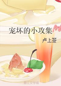 宠坏的小攻集