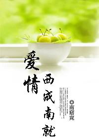 爱情西成南就