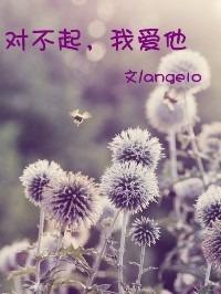 对不起,我爱他