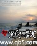 僵尸黑夜传说