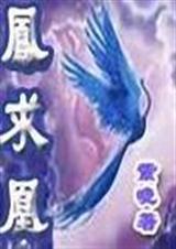 凤求凰 全+番