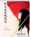 你不是我的杨过