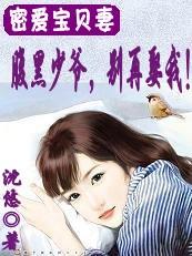 腹黑少爷,别再娶我
